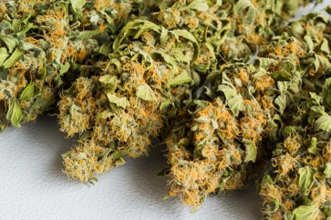 Jager Sour Diesel: Effects, Flavor & Potency Guide
