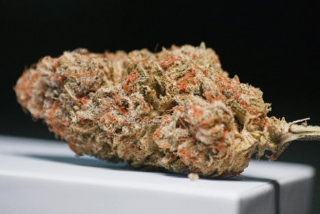 Live Resin Badder: Effects, Uses & Buying Guide