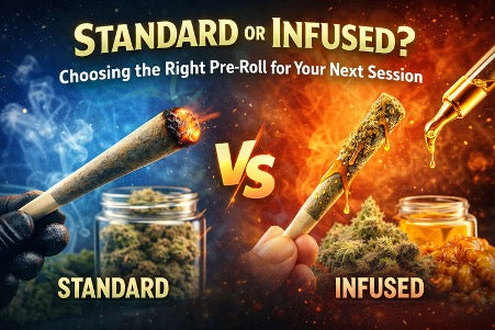 Standard or Infused? Choosing the Right Pre-Roll for Your Next Session