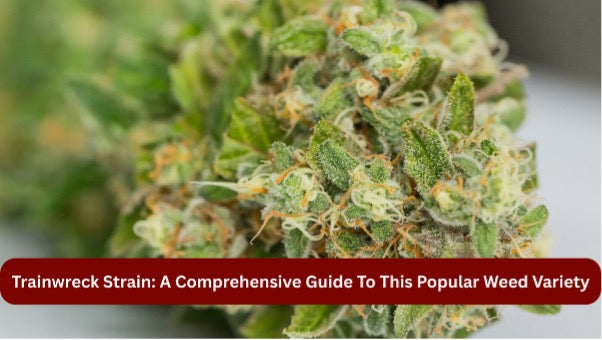 Trainwreck Strain: A Comprehensive Guide to This Popular Weed Variety
