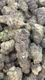 Strawberry Cough Minis de interior - Minis a granel - Sativa