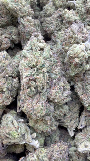 Italian Ice Cream Cookies - Bulk - Hybrid