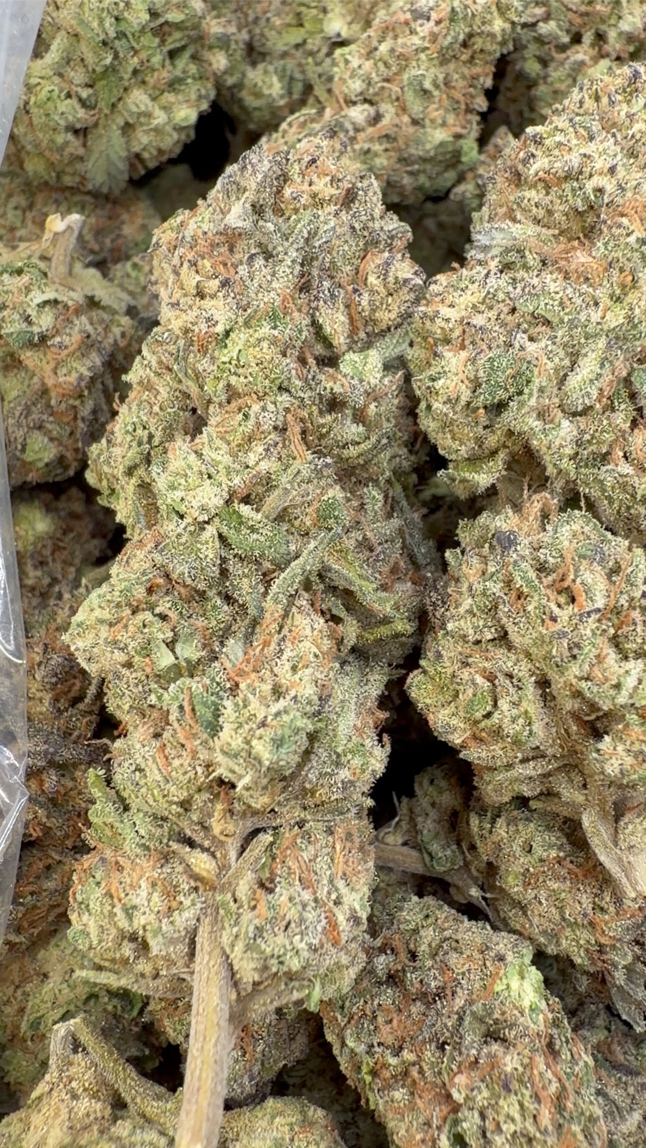 Galletas moradas - A granel - Híbridas