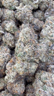 LA Runtz Indoor - Bulk - Híbrido