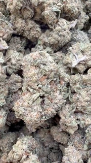 Burger Breath - Bulk - Indica