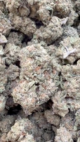 Burger Breath - Bulk - Indica