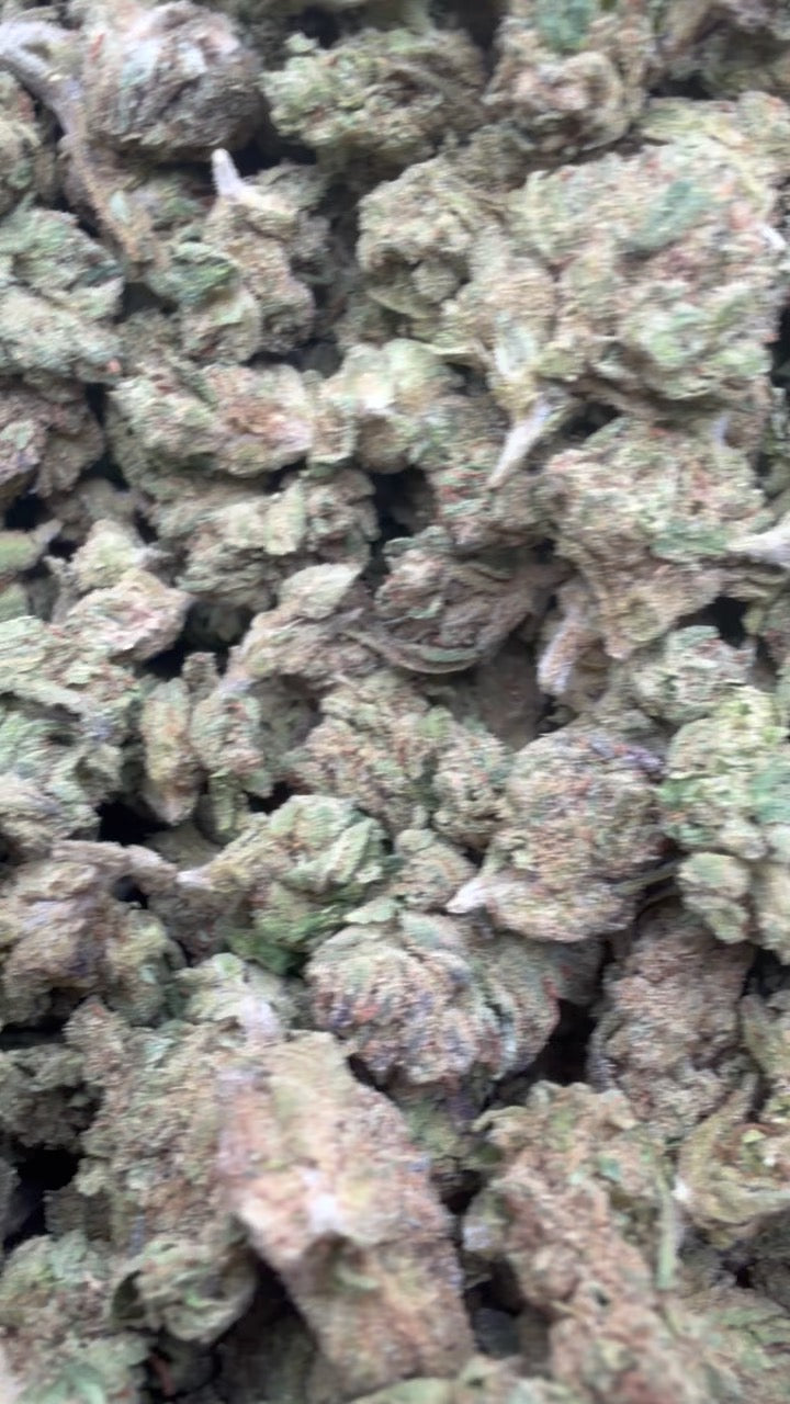 Rainbow Sherbet Littles - Bulk Littles - Indica