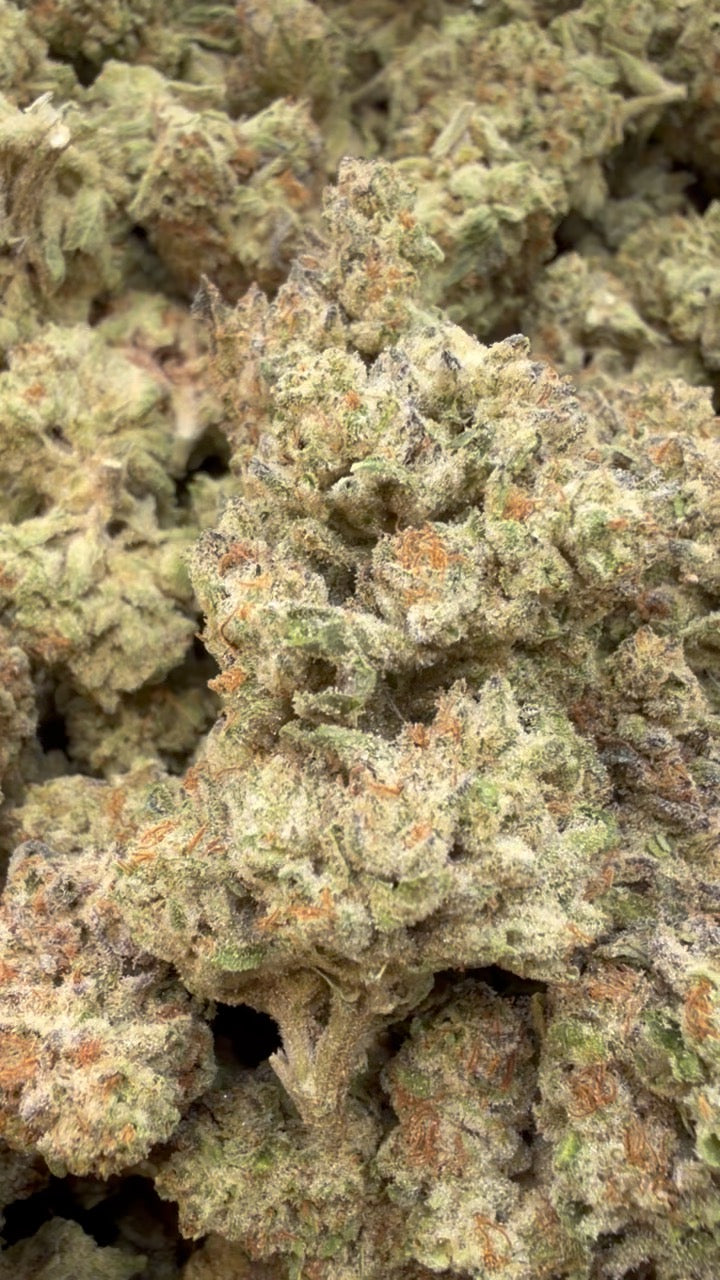 Sugar Cookies - Bulk - Indica