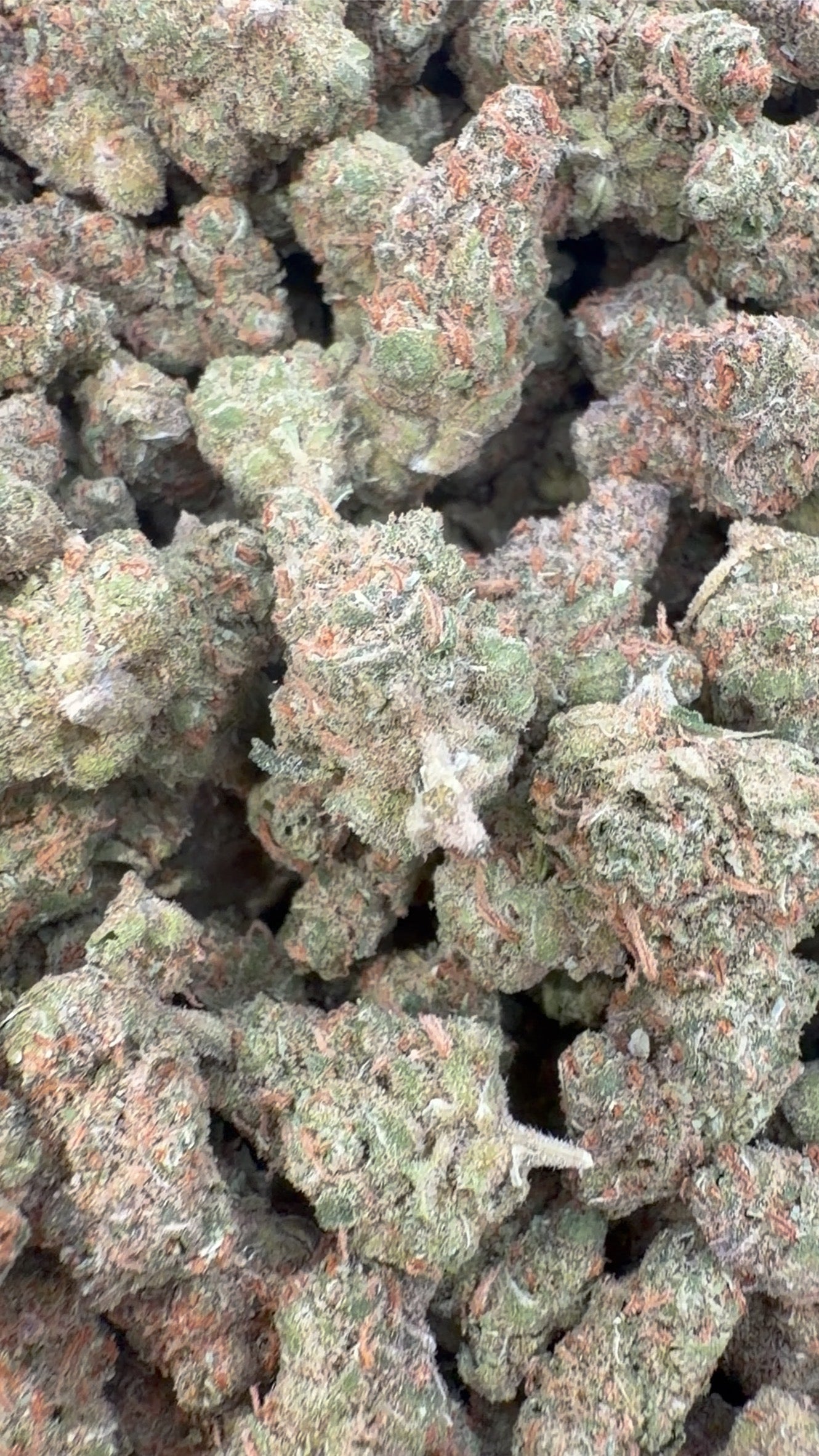 Super Lemon Haze Pequeñas de Interior - Pequeñas a Granel - Sativa