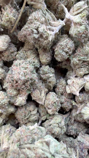 Pinnacle Mintz Littles - Bulk Littles - Hybrid