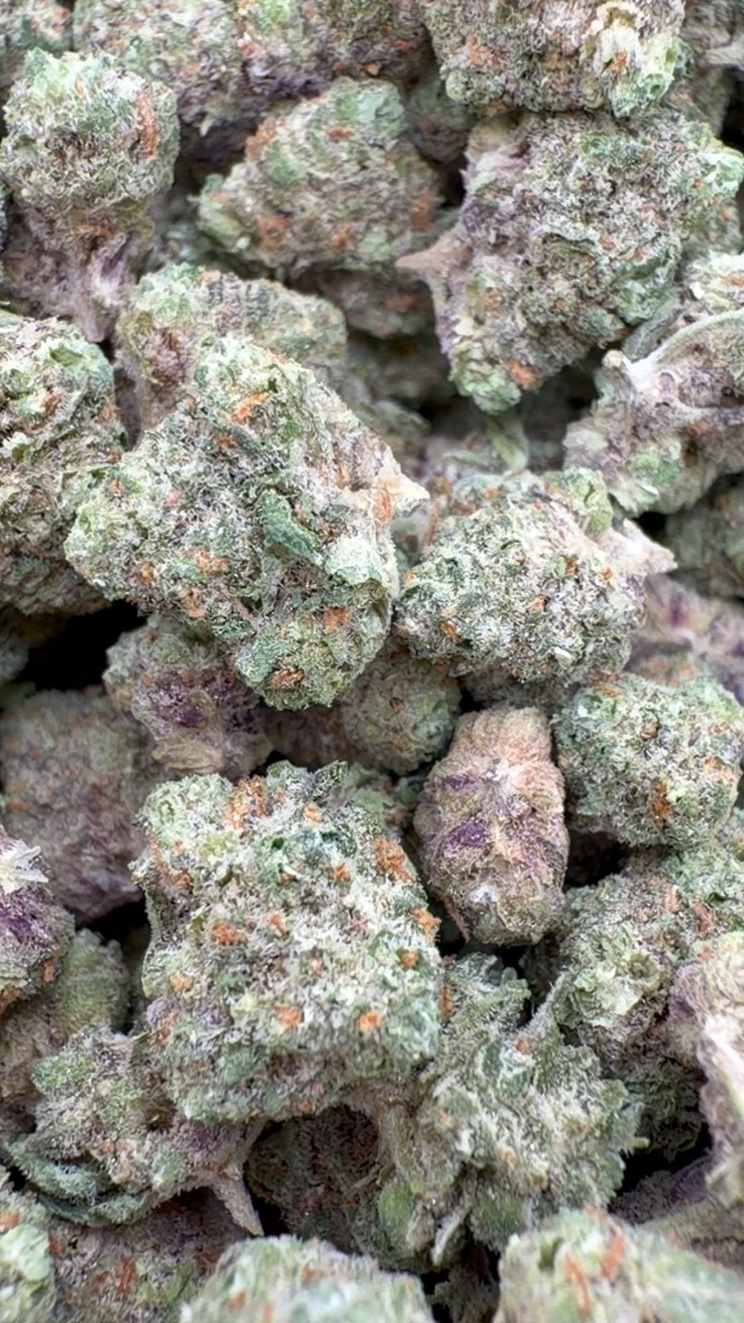 Citrus Skunk Littles - Littles a granel - Híbrido 