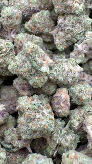 Citrus Skunk Littles - Littles a granel - Híbrido 