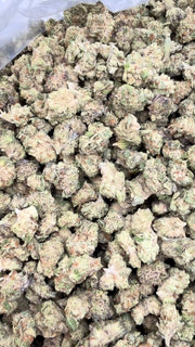 Rainbow Sherbet Littles - Bulk Littles - Indica