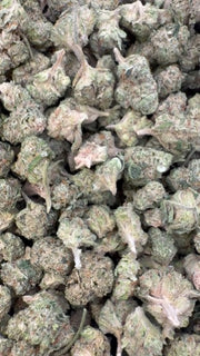 Donutz Littles - Bulk Littles - Índica
