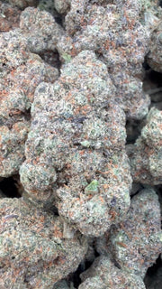 24K Gold - Bulk - Indica