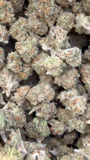 Grape Gas Littles - Bulk Littles - Hybrid