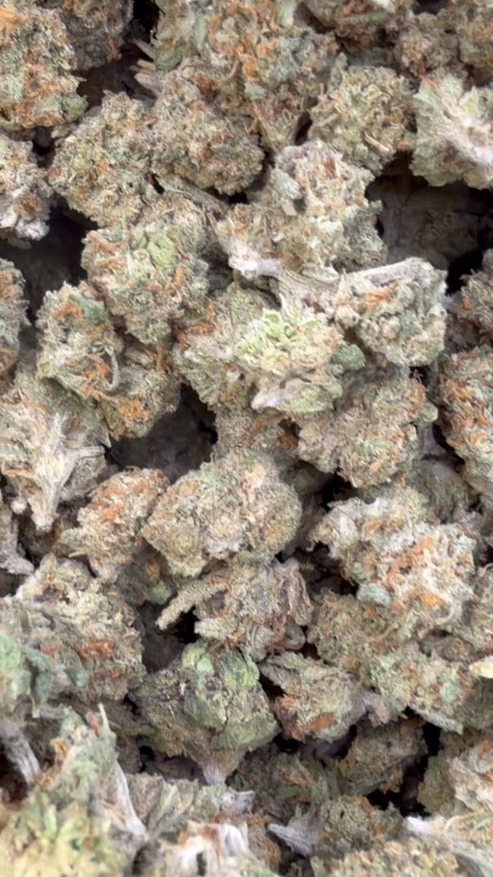 Grape Gas Littles - Bulk Littles - Hybrid