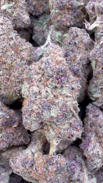 Forbidden Fruit Indoor - A granel - Indica