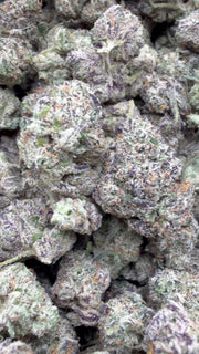 Boutique Exotic White Nerds Mediums - Bulk Mediums - Hybrid