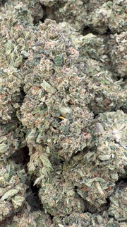 Blue Punch - Bulk - Indica