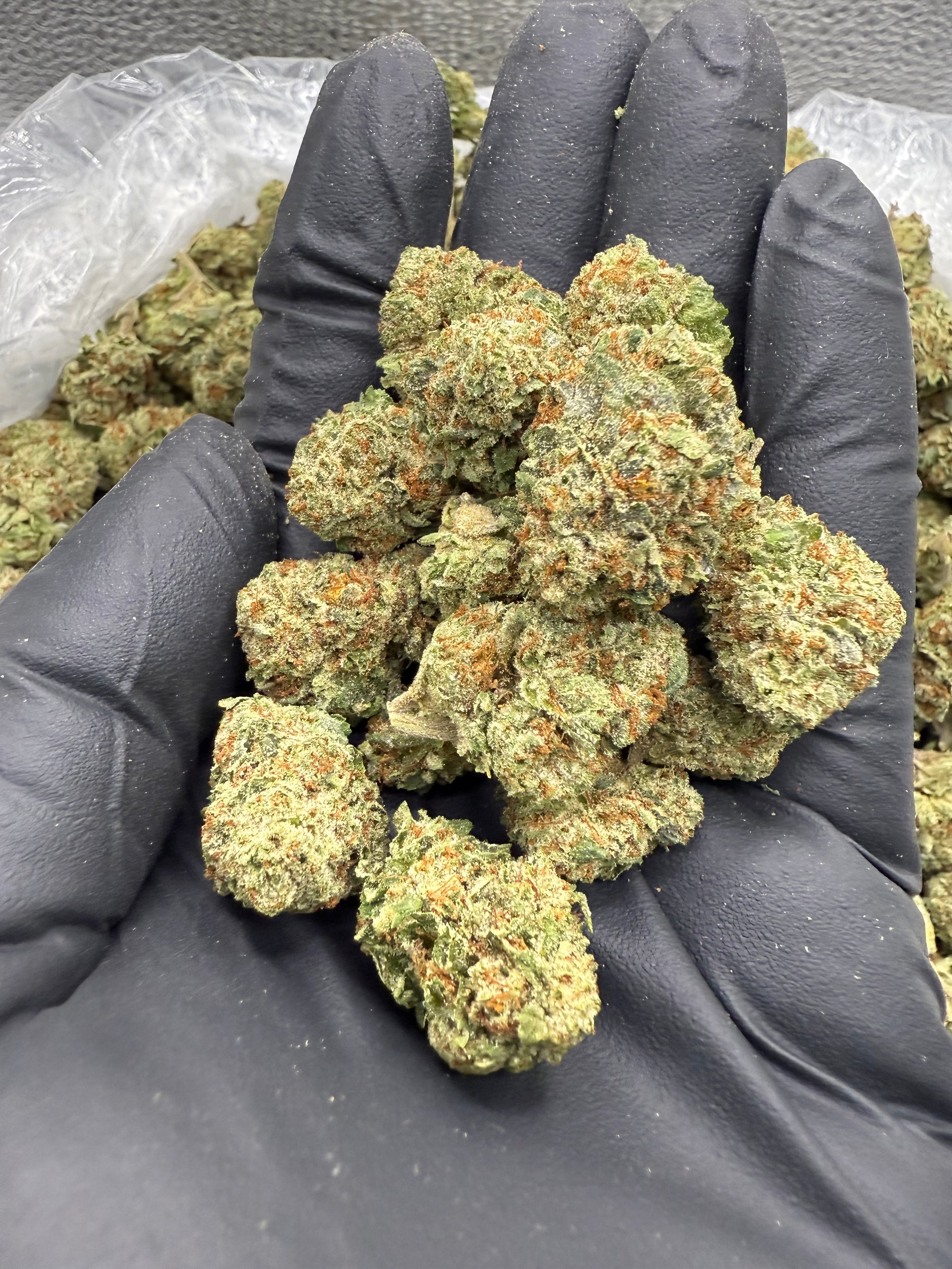 Sour Diesel - Medianos a granel - Sativa