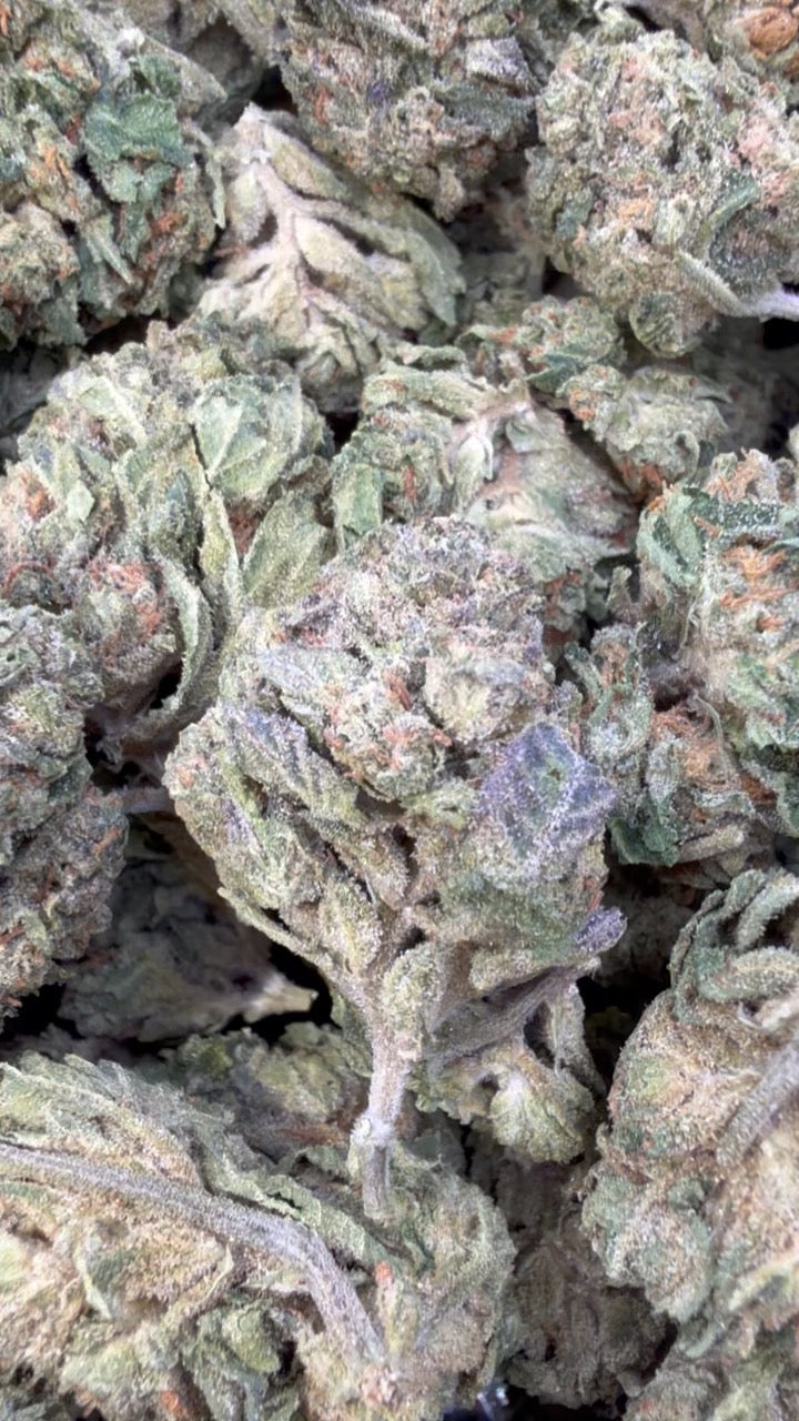 Gelato 33 - Bulk - Hybrid