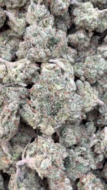 Citrus Kush Indoor Mediums - Bulk Mediums - Sativa