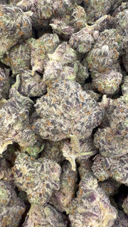 Truffle Indoor Mediums - Bulk Mediums - Indica