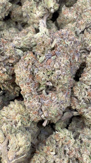 Hella Jelly - Bulk - Sativa