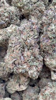 Permanent Marker - Bulk - Hybrid