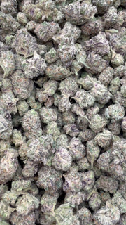 Boutique Exotic White Nerds Littles- Bulk Littles - Hybrid