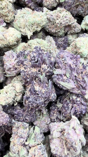 Pop Cherry - Bulk - Hybrid