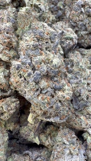 Blue Lemons Indoor - Bulk - Hybrid