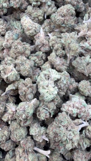 Orange Creamsicle - Bulk Littles - Sativa