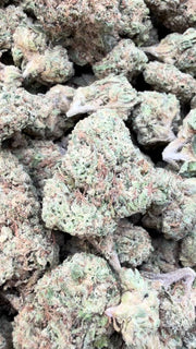 Gelato Kush Mediums - Mediums a granel - Indica