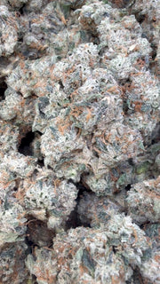 Jet Fuel OG Indoor - Bulk- Indica