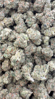 XJ 13 Indoor Littles - Bulk Littles - Sativa