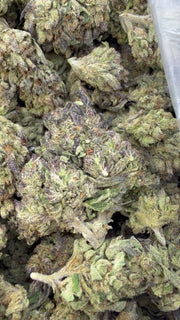 Double Runtz - Bulk - Hybrid