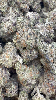 Grape Gas Indoor Mediums - Bulk Mediums - Hybrid