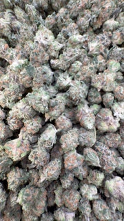 Sharpie Candy Littles - Bulk Littles - Hybrid