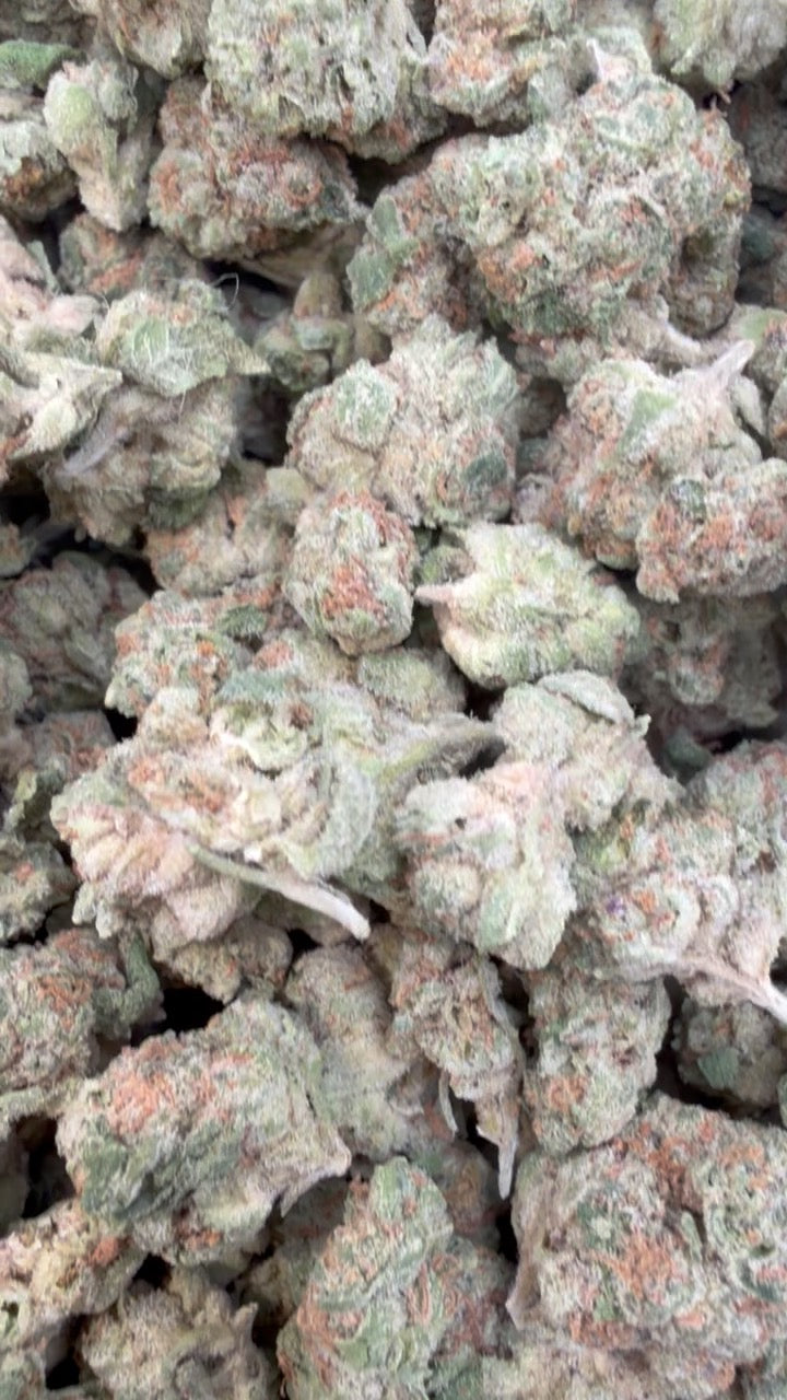 LA Kush Cake Littles - Bulk Littles - Indica