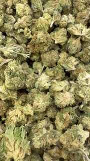 Blue Sherbs Littles - Bulk Littles - Sativa