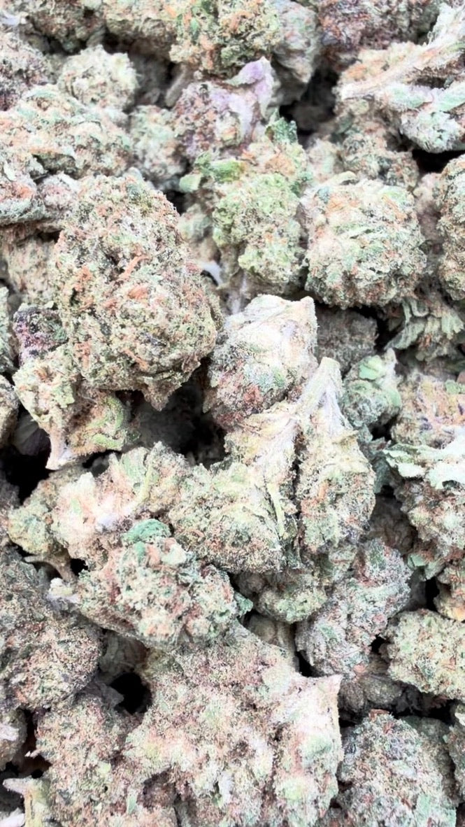 Jungle Gelato Littles - Bulk Littles - Indica