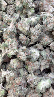 Chocolate Diesel Littles - Bulk Littles - Sativa
