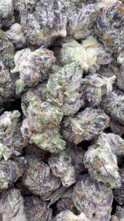 Trufas de interior pequeñas - Trufas a granel pequeñas - Indica 