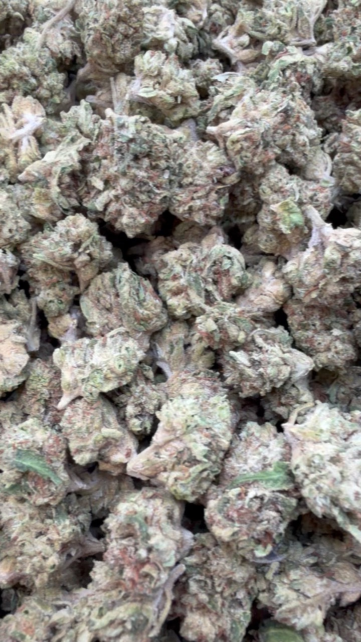 Blueberry Zkittlez Littles - Littles a granel - Indica