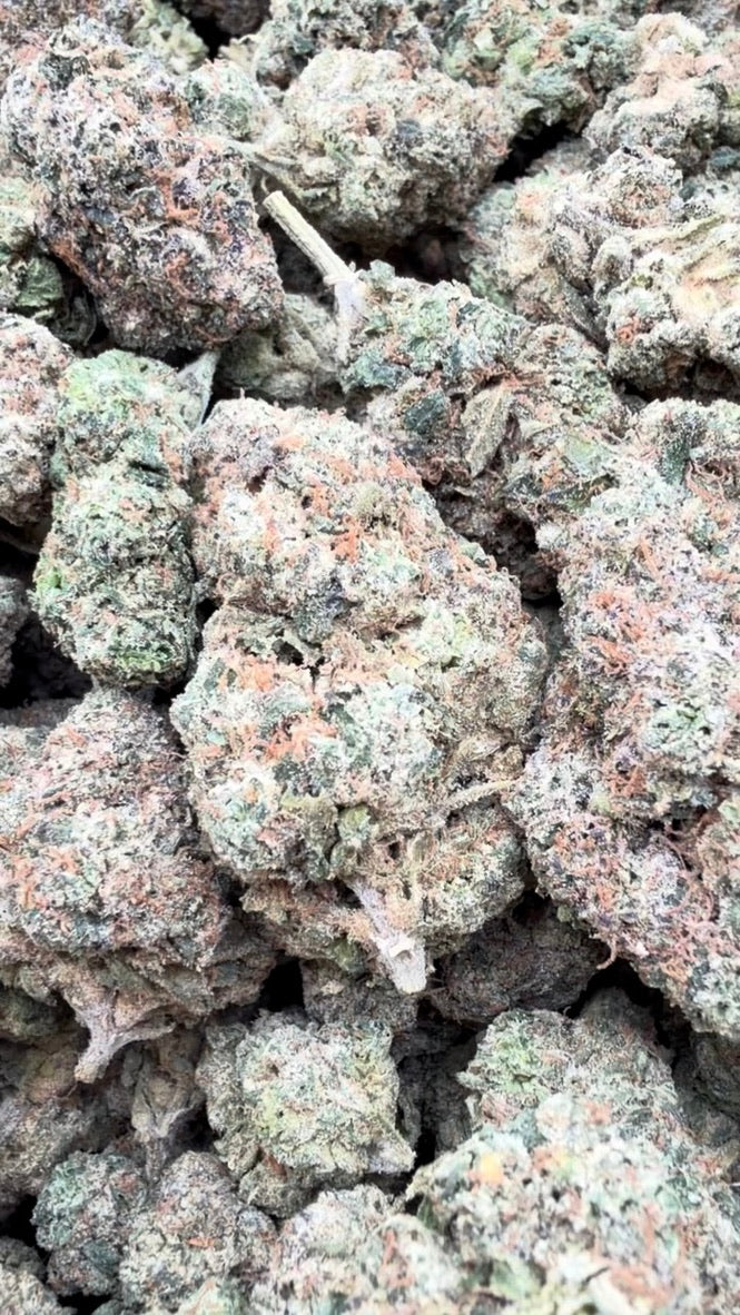 White Runtz Indoor - Bulk - Hybrid