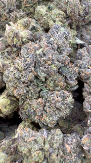 Blue Runtz Indoor - Bulk - Hybrid