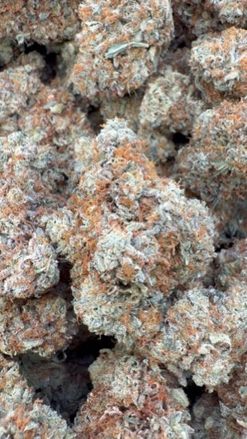 Naranja Creamsicle Interior - A granel - Sativa
