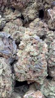 Mochi Gelato - Bulk - Indica